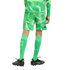 Rear view of a person wearing a green patterned soccer kit, tall green socks, and black and neon yellow soccer cleats against a light gray background.