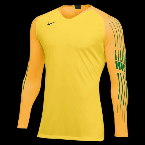 Nike Gardien 2 Goalkeeper Jersey AR9769-719