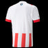Puma PSV Eindhoven 22/23 Home Jersey
