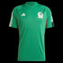 Adidas Mexico Training Jersey