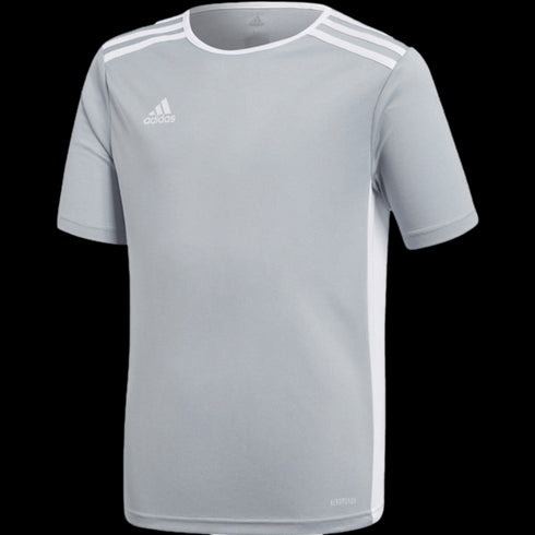 Adidas Entrada 18 Youth Jersey - Grey CF1046