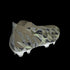 Adidas Predator Edge Crystal+ Firm Ground Cleats GX3913