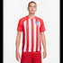 Nike Atletico Madrid 23/24 Home Jersey DX2680-613