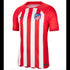 Nike Atletico Madrid 23/24 Home Jersey DX2680-613