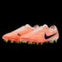 Nike Tiempo Legend 10 Elite NU Firm Ground Cleats DZ3176-800