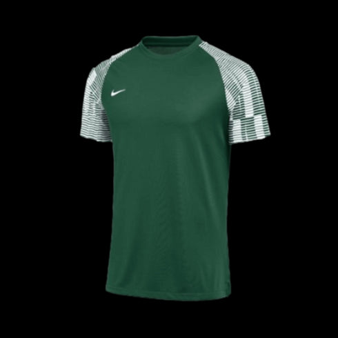Nike Dri-FIT Academy Jersey - Green DH8033-341