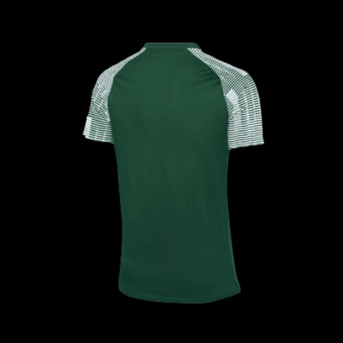 Nike Dri-FIT Academy Jersey - Green DH8033-341