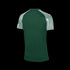 Nike Dri-FIT Academy Jersey - Green DH8033-341
