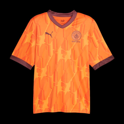 Puma Manchester City Esports Jersey 772842-09