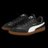 Puma King 21 Indoor Shoes 106696-01