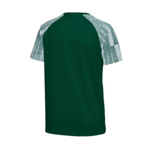 Nike Youth Dri-FIT Academy Jersey - Green DH8386-341