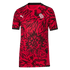 Puma Christian Pulisic CP 10 Youth Jersey 658714-01
