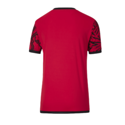 Puma Christian Pulisic CP 10 Youth Jersey 658714-01