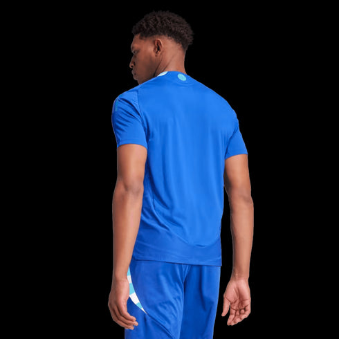 Adidas Argentina 2024 Authentic Away Jersey IP8384