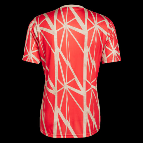 Adidas Bayern Munich Pre-Match Jersey JD8335