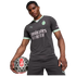 Puma AC Milan 24/25 Third Jersey 775031-03