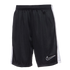 Nike Dri-FIT Academy23 Youth Shorts - Black DX5476-010