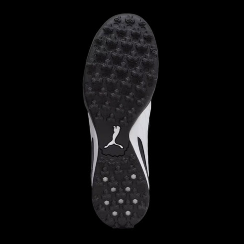 Puma King Top Turf Shoes 107417-01