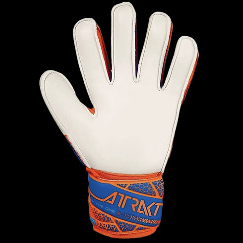 Reusch Attrakt Solid Goalkeeper Gloves 5570515-2290