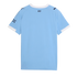 A back view of a light blue soccer jersey with white trim on the collar and sleeves. It features black 'CITY' text on the neck and Puma logos on the shoulders.