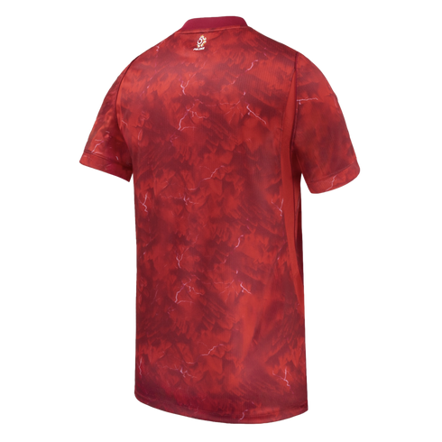 Nike Poland 2026 Away Jersey