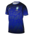 Nike Brazil Academy Pro Pre-Match Jersey