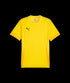 Puma Teamgoal Matchday Jersey - Yellow 705747-07