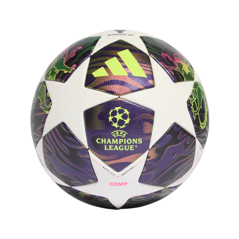 Adidas UEFA Champions League 2024 Budapest Final soccer ball featuring white star panels and iridescent purple-green patterns with lion graphics.