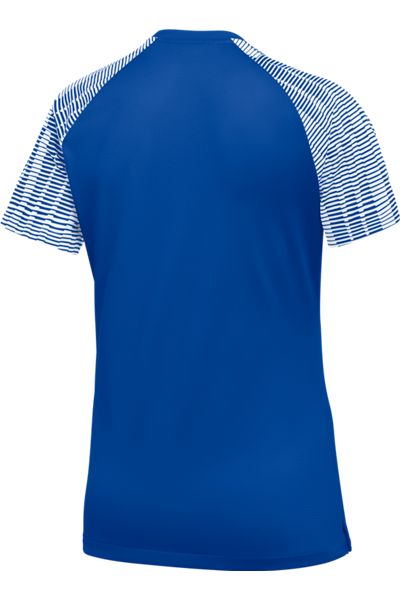 Rear view of a royal blue athletic shirt featuring raglan sleeves with blue and white horizontal stripes.