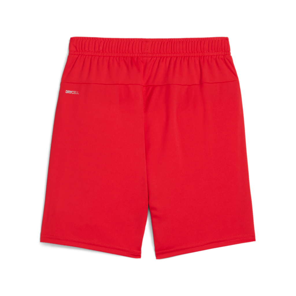 Rear view of red athletic shorts with an elastic waistband and 'DRYCELL' logo on the left hip, shown against a solid white background.