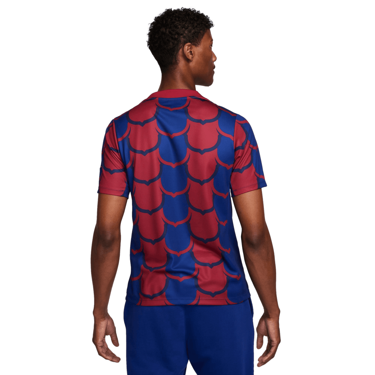 Nike Barcelona Academy Pre-Match Jersey FJ5430-456