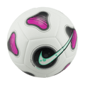 Nike Pro Futsal Ball FJ5549-100