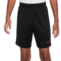 Nike Dri-FIT Academy 23 Youth Shorts - Black DX5476-011