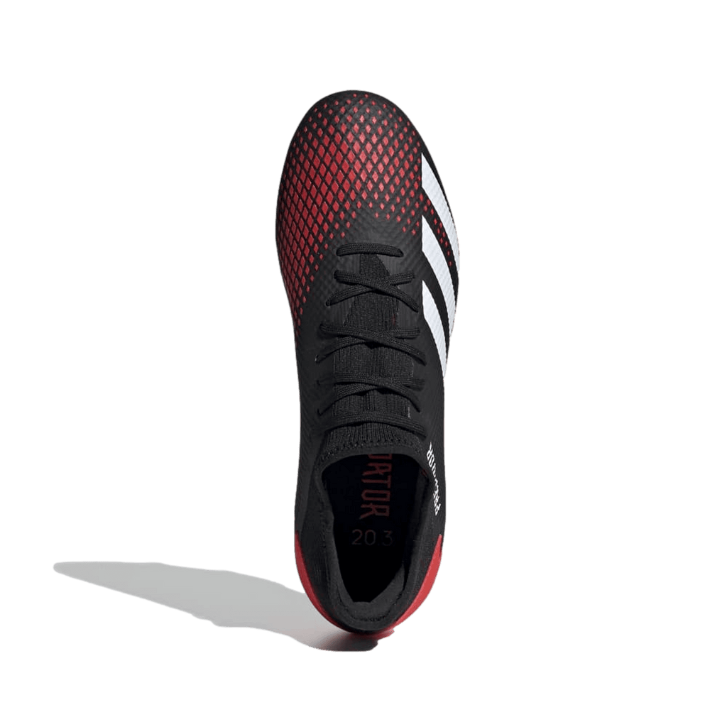 Adidas Predator 20.3 Low Firm Ground Cleats EE9556