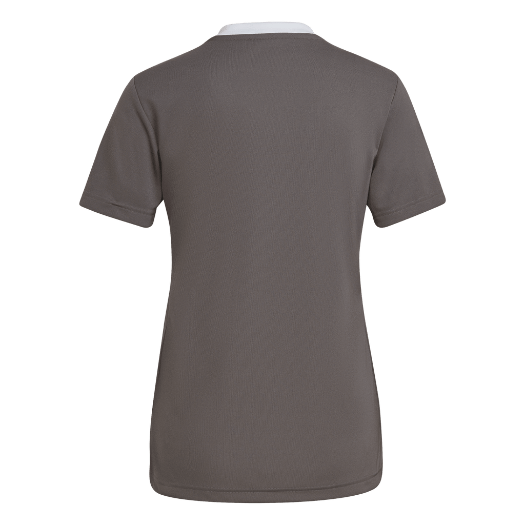 adidas Women's Entrada 22 Jersey - Grey H59848