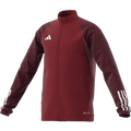 Adidas Tiro 23 Competition Youth Training Jacket
