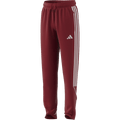 Adidas Tiro 23 League Youth Pants
