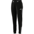 Adidas Tiro 23 Competition Winterized Womens Pants - Black IL7267