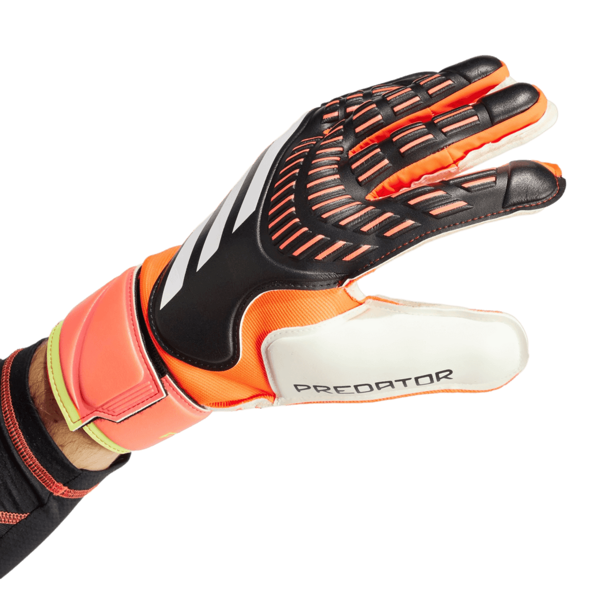 Adidas Predator Match Goalkeeper Gloves IN1599