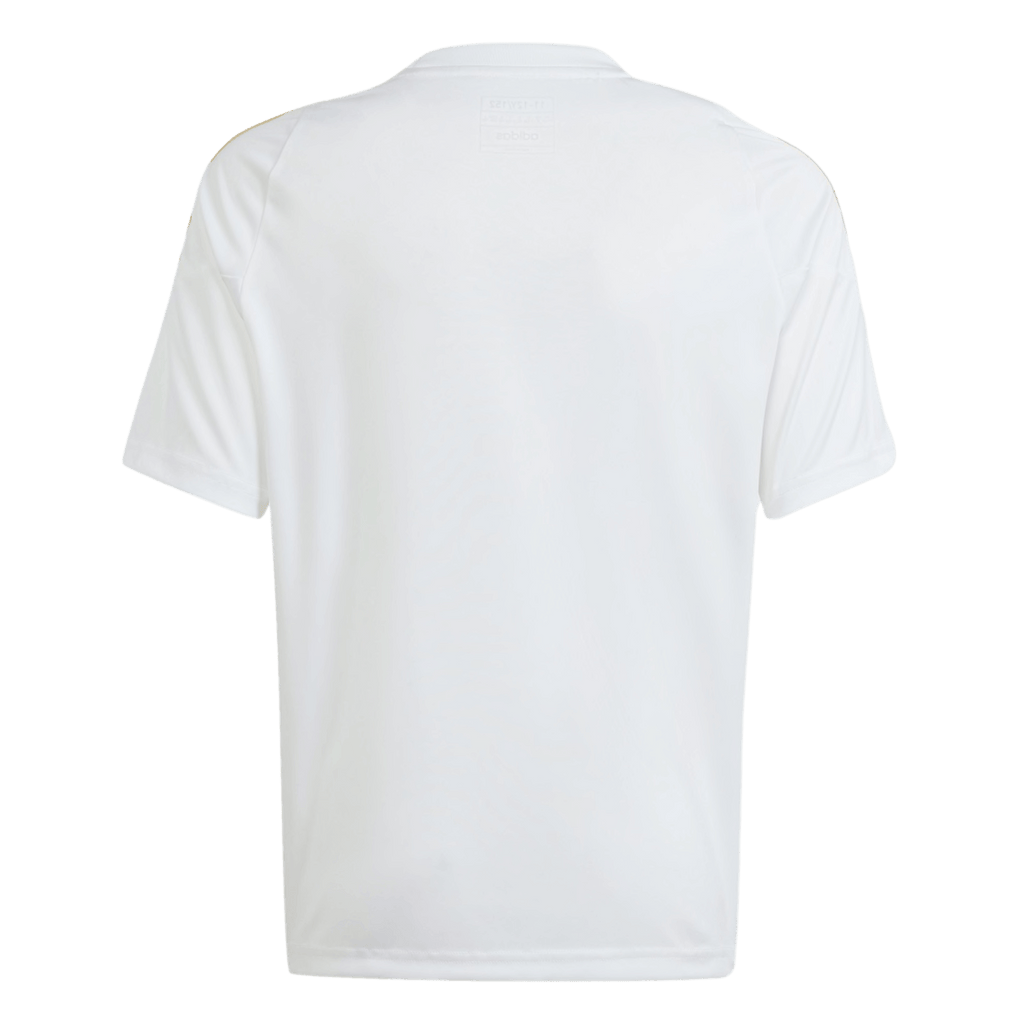 Adidas Messi Youth Training Jersey IS6470