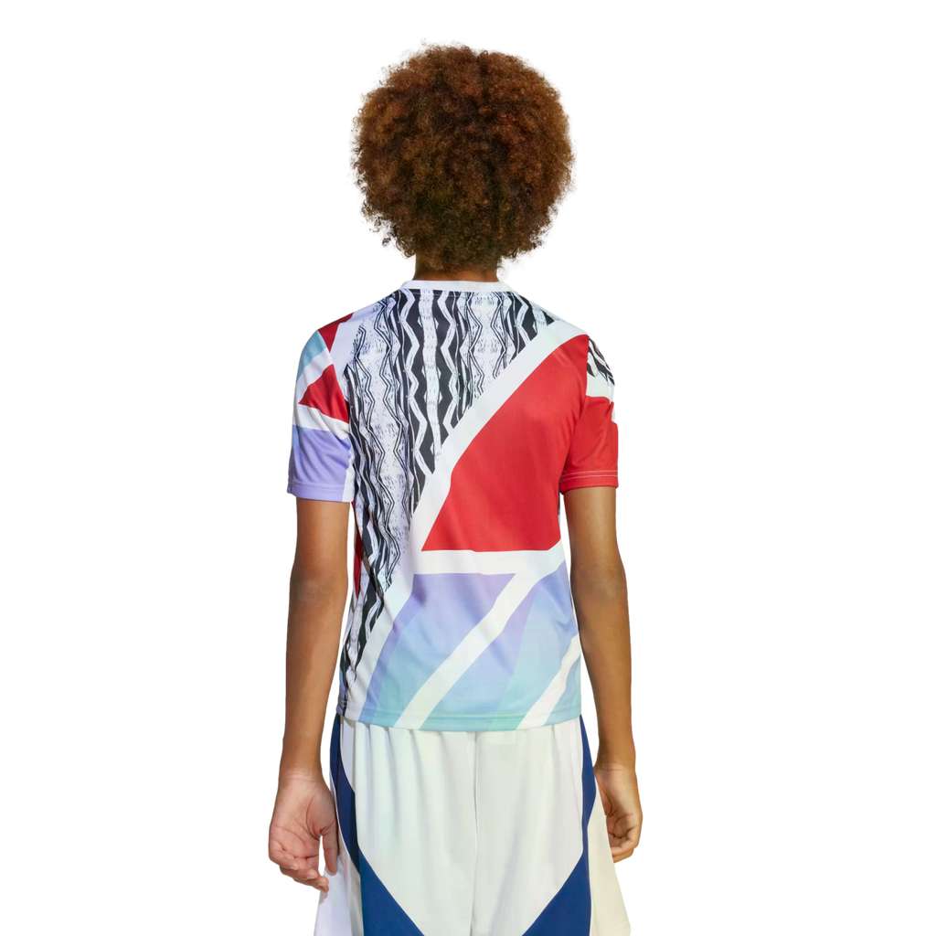 Adidas Arsenal Youth Pre-Match Jersey JE7565