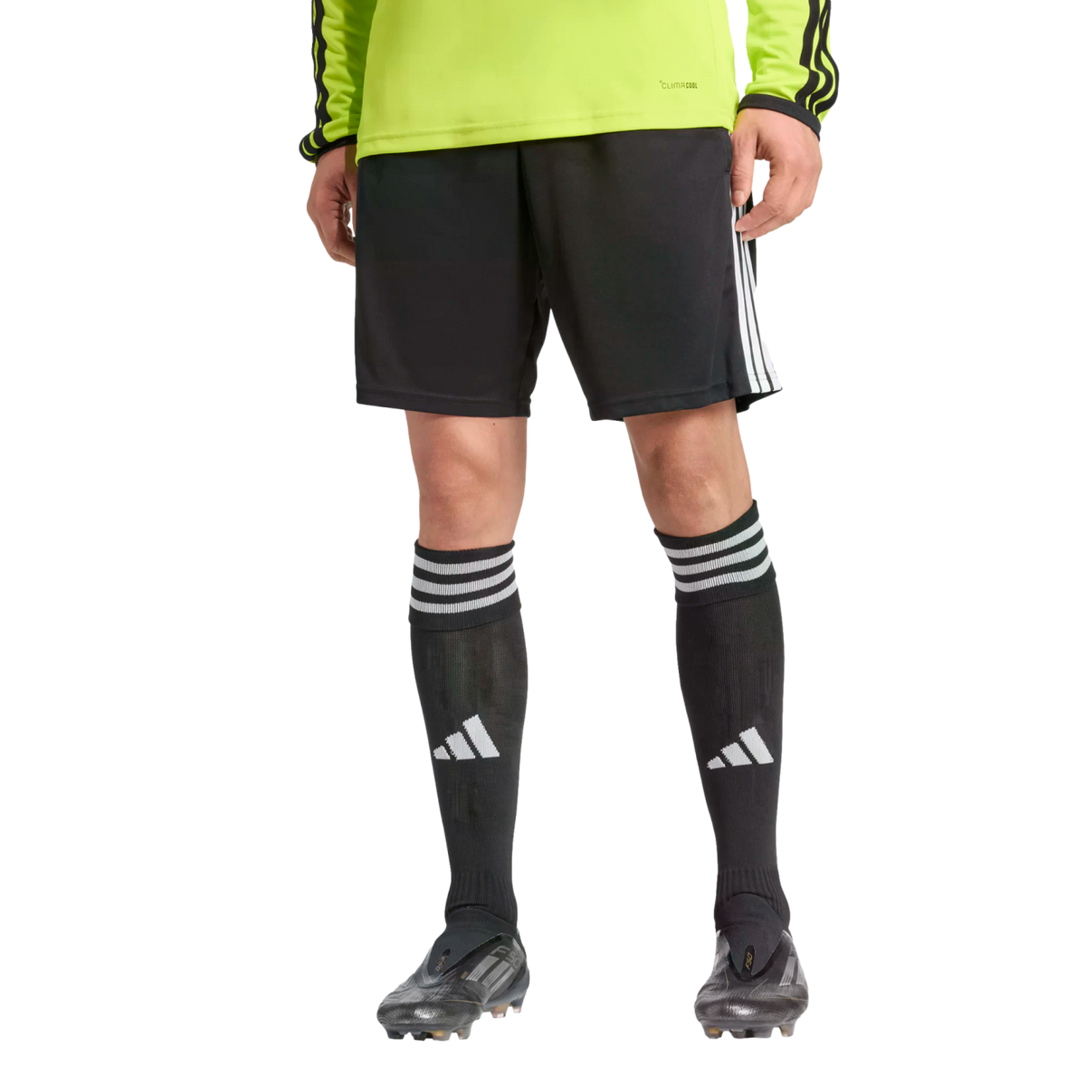 Adidas Referee 26 Shorts