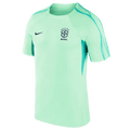 Nike Brazil Strike Training Top DH6441-390