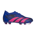 Adidas Predator Accuracy.3 Pogba Youth Firm Ground Cleats H03773