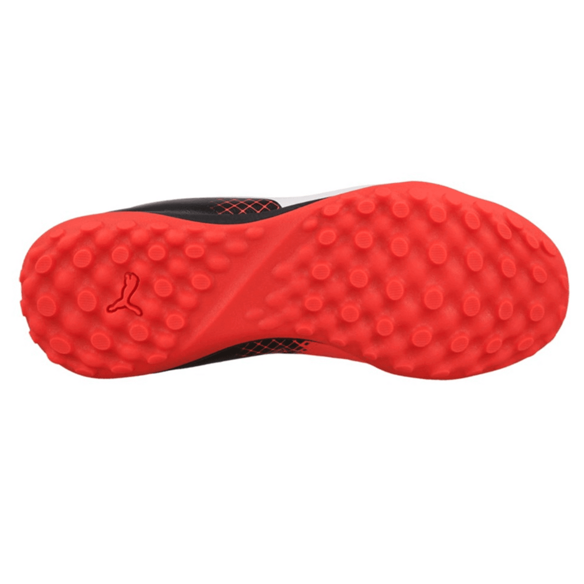 Puma Evopower 4.3 Tricks Youth Turf Shoes 103627-03