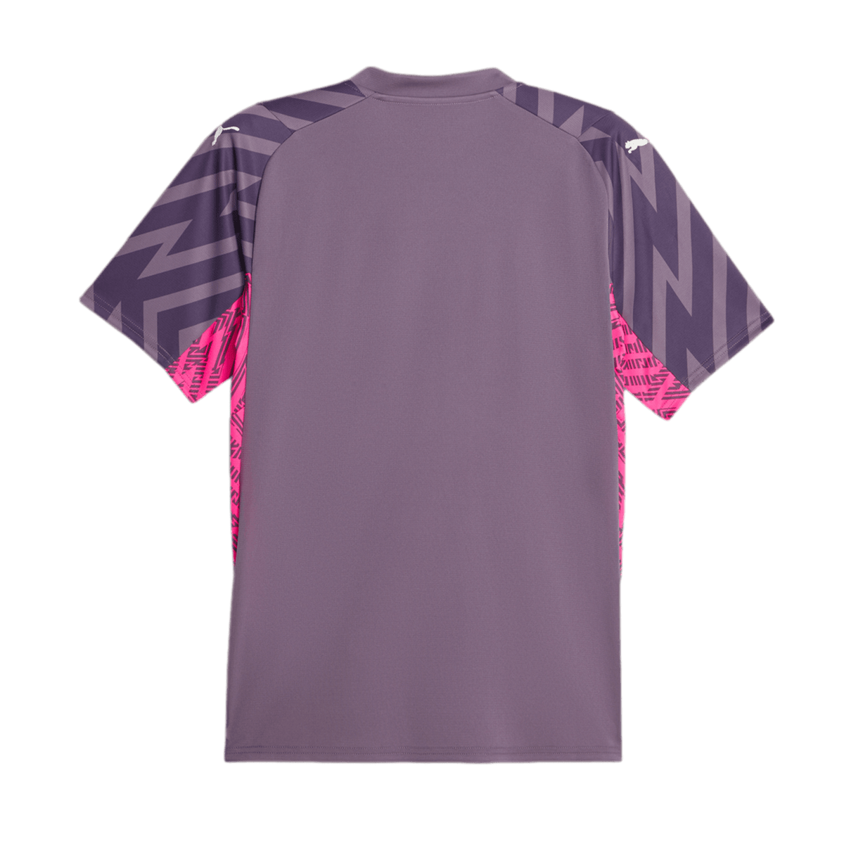 Puma Manchester City 23/24 Short Sleeve Goalkeeper Jersey 770471-98