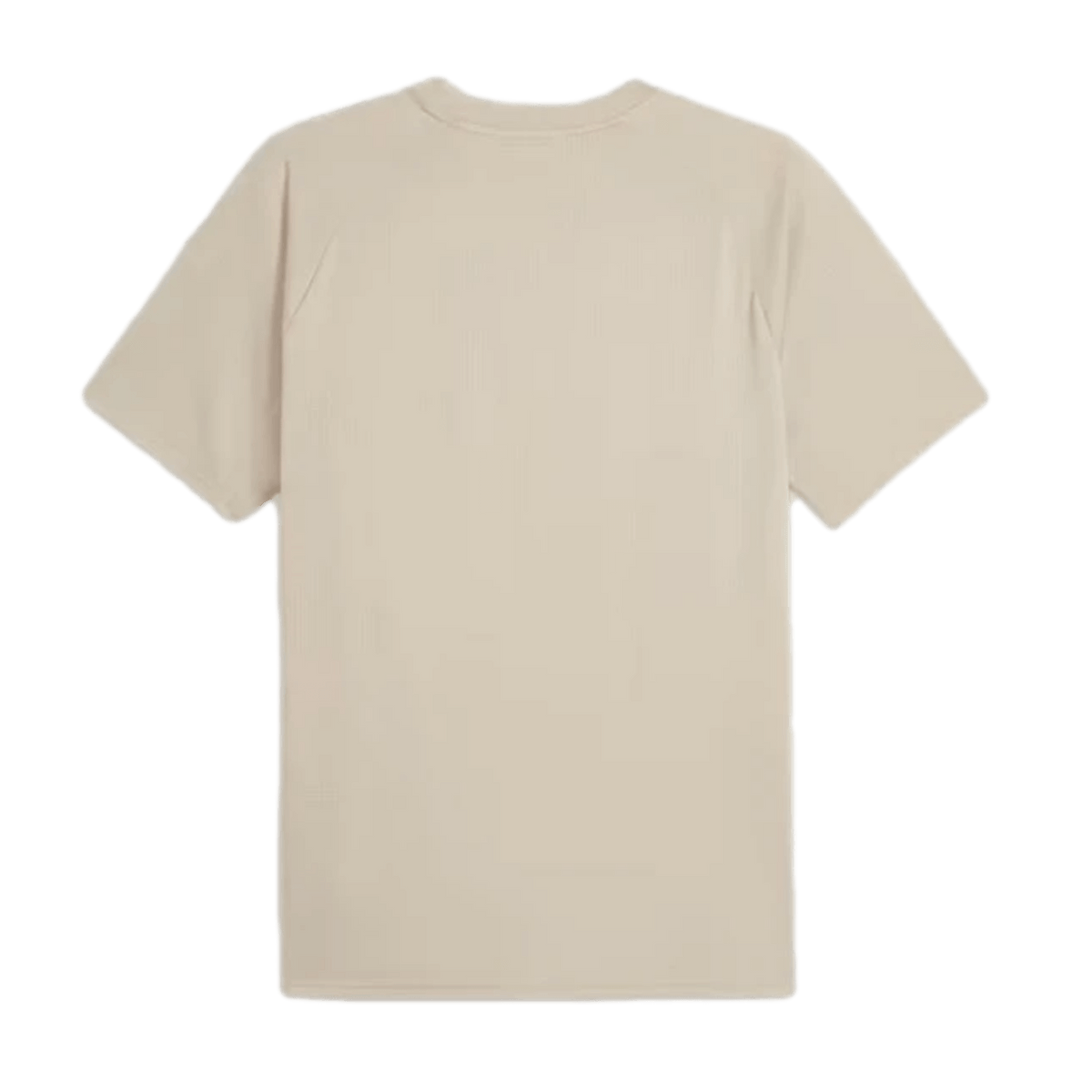 Puma Manchester City Pre-Match Jersey 774370-03