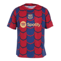 Nike Barcelona Academy Pre-Match Jersey FJ5430-456