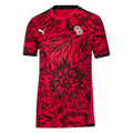 Puma Christian Pulisic CP 10 Youth Jersey 658714-01