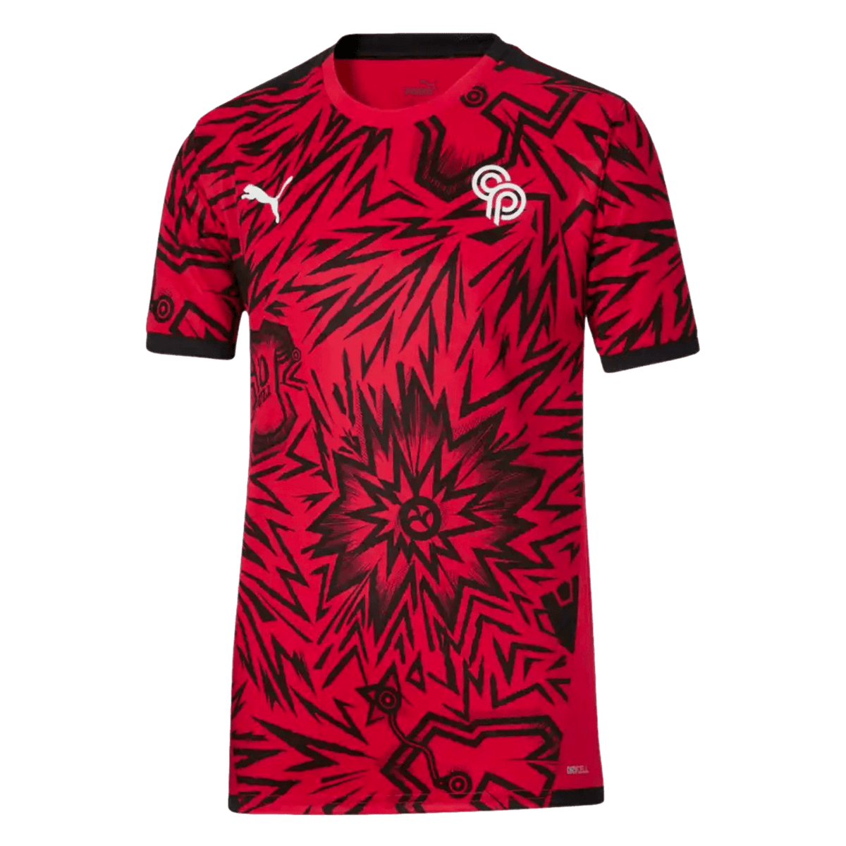Puma Christian Pulisic CP 10 Youth Jersey 658714-01
